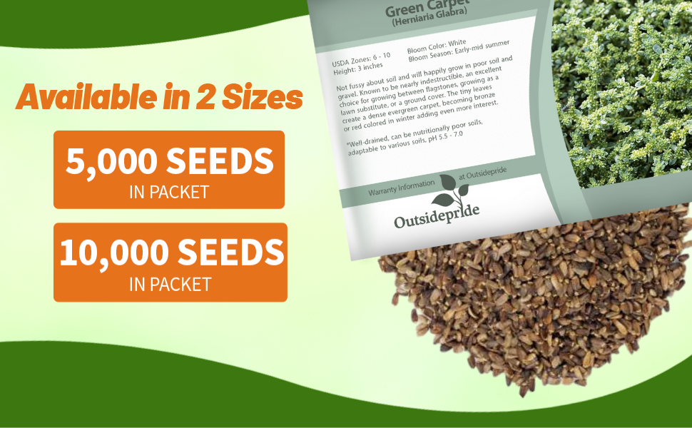 Herniaria Glabra Green Carpet Seed Packets For Planting