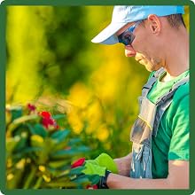 Low Maintenance Southeast Wildflower Seed Mixture