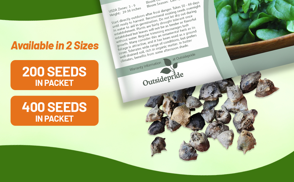 New Zealand Spinach Seed Packet For Planting