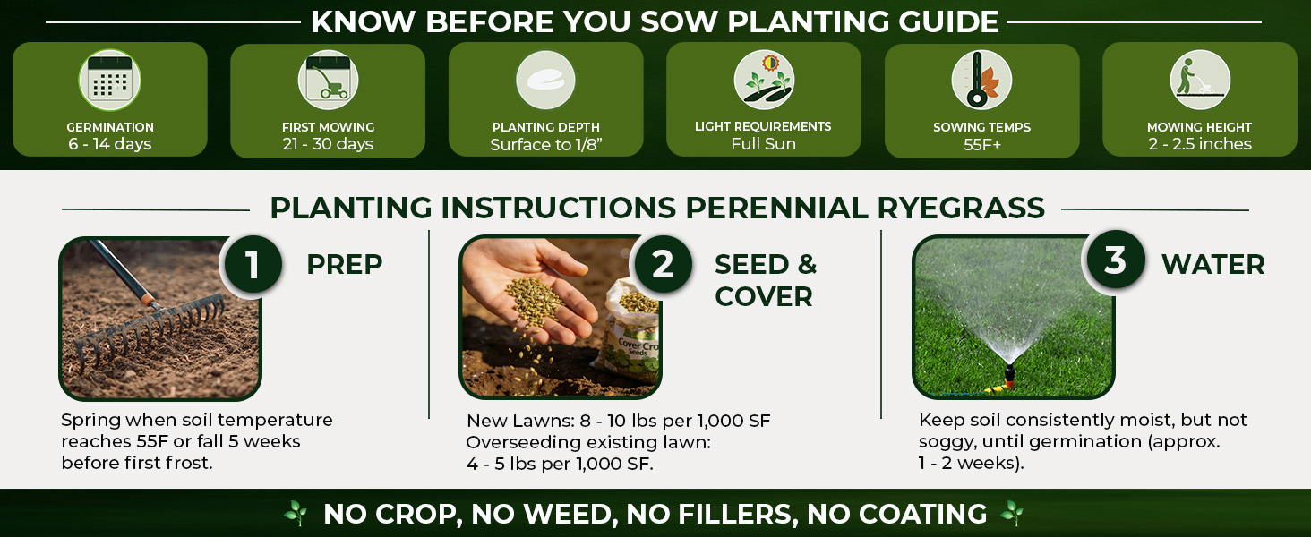 Planting Directions For Perennial Ryegrass Seeds