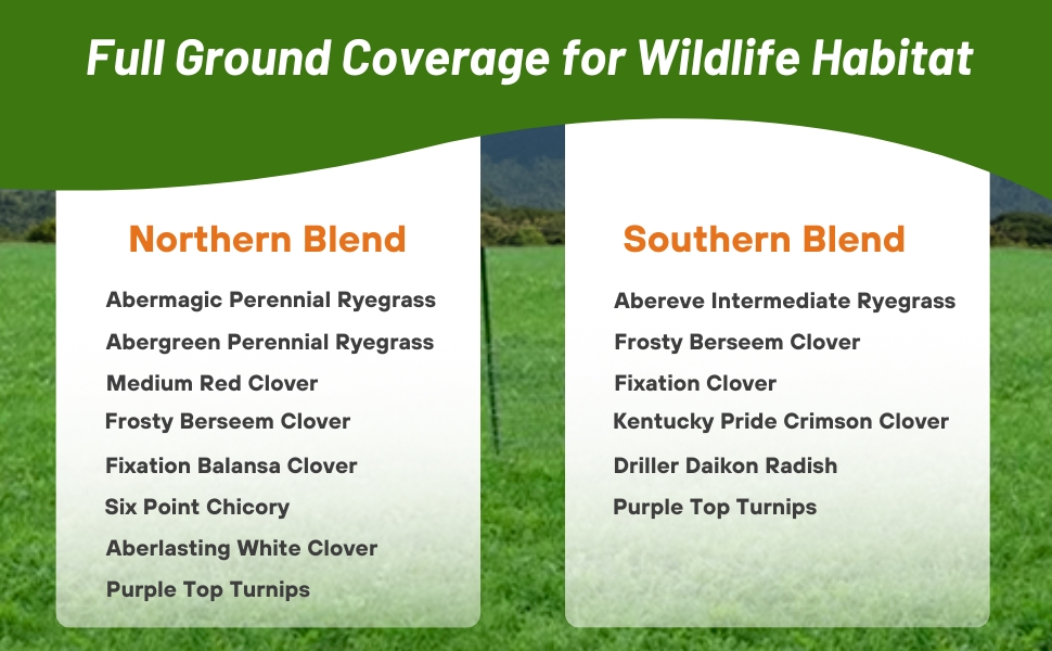 Comparison of Northern vs. Southern Sweet Spot Deer Food Plot Seed
