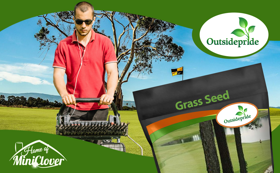 Pure Select Creeping Bentgrass Seed