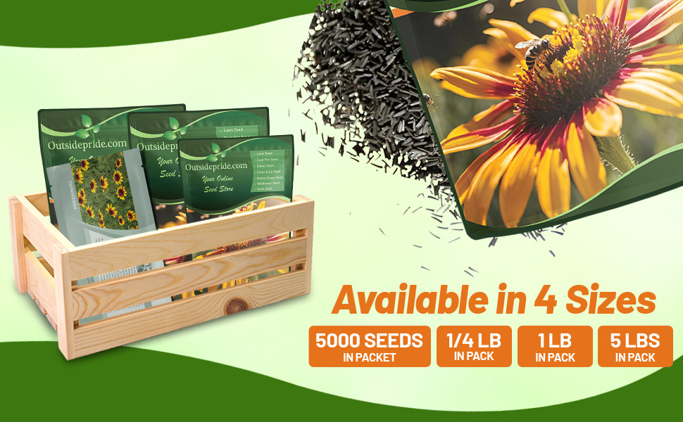 Gloriosa Daisy Bulk Wildflower Seed Bags For Planting