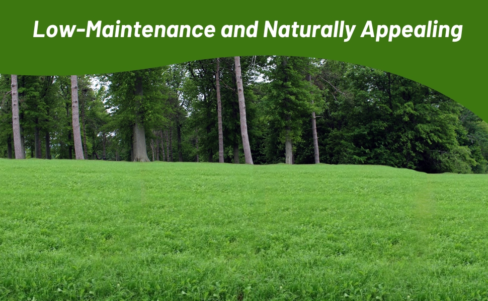 Lush Green Sweet Spot Deer Food Plot Seed