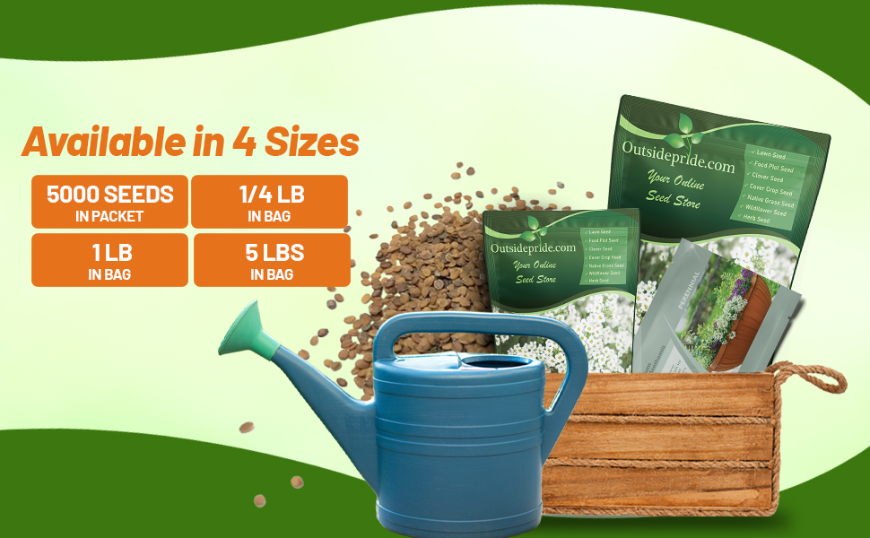 Sweet Alyssum Flower Seed Packet & Bulk Bag For Planting