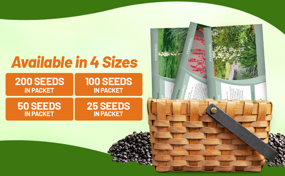 Yucca Seed Packets For Sale