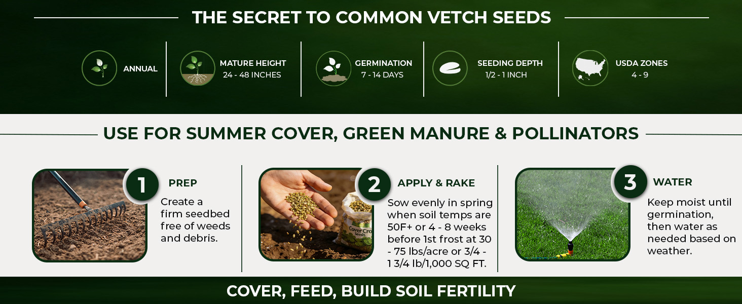 Common Vetch Seed Planting Directions