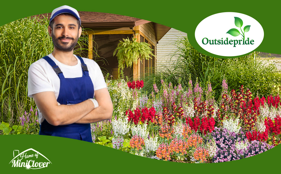 Snapdragon Flower Garden Planted From Seeds