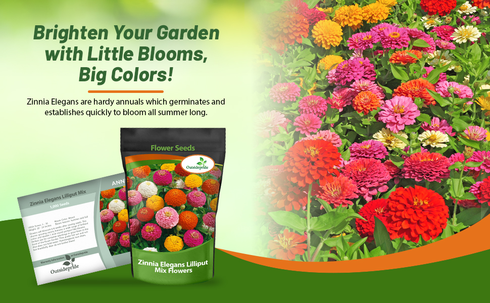 Bulk Zinnia Lilliput Flower Seeds & Packet