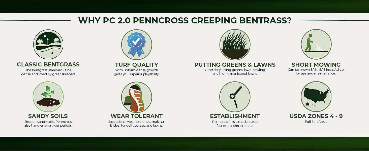 PC2.0 Penncross Creeping Bentgrass