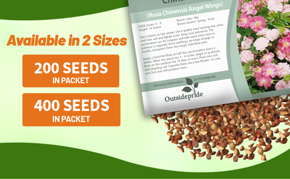China Rose Seed Packet For Sale
