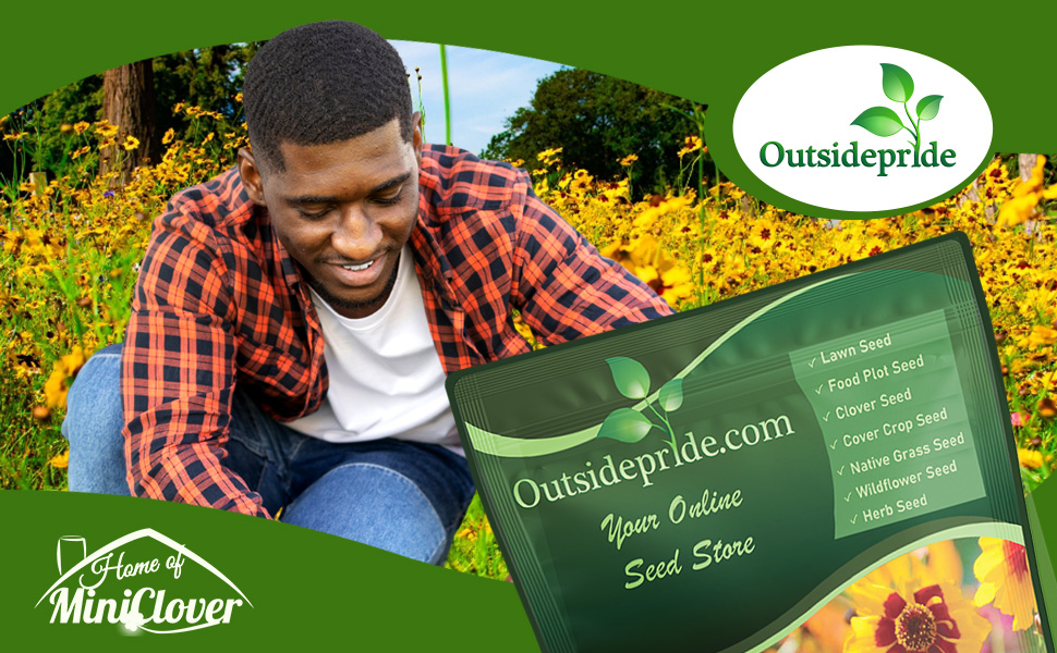 Plains Coreopsis Wildflower Garden With Seed Bag