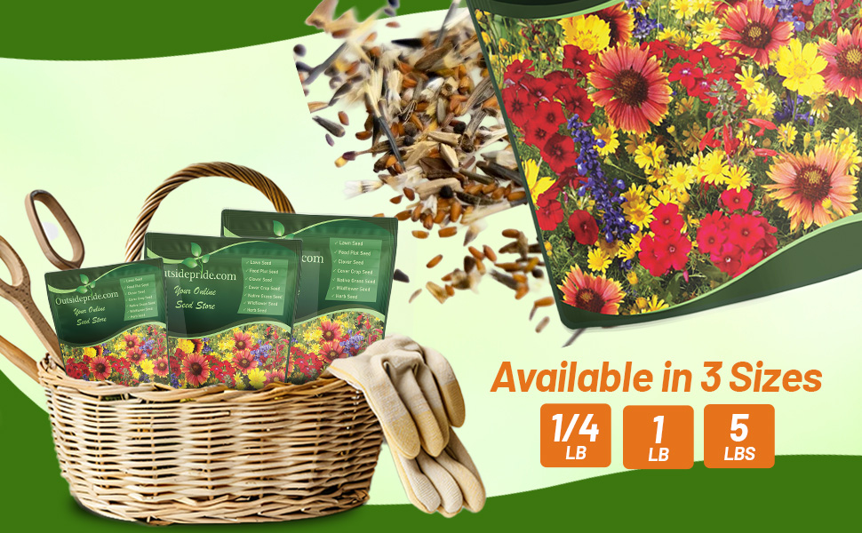 Texas Oklahoma Wildflower Mixture Seed Bag For Planting