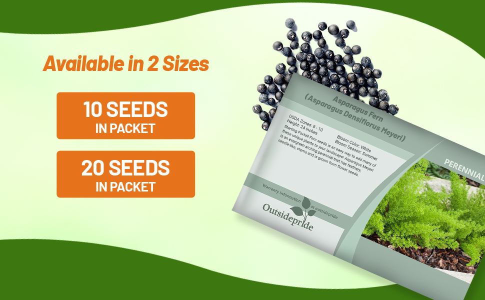 Asparagus Fern Meyeri Seed Packet For Planting