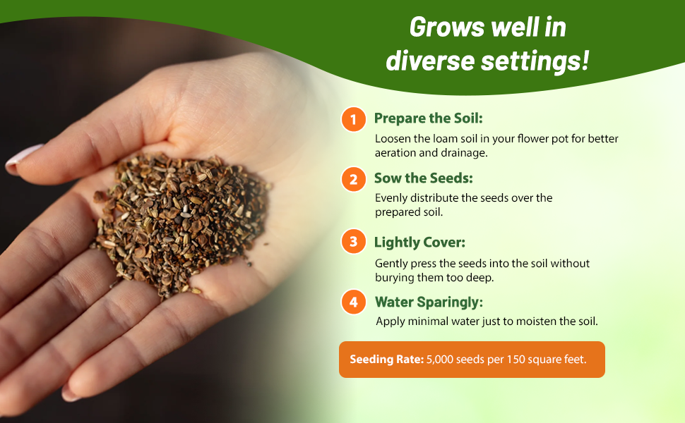 Planting Directions For Balcony Wildflower Seeds