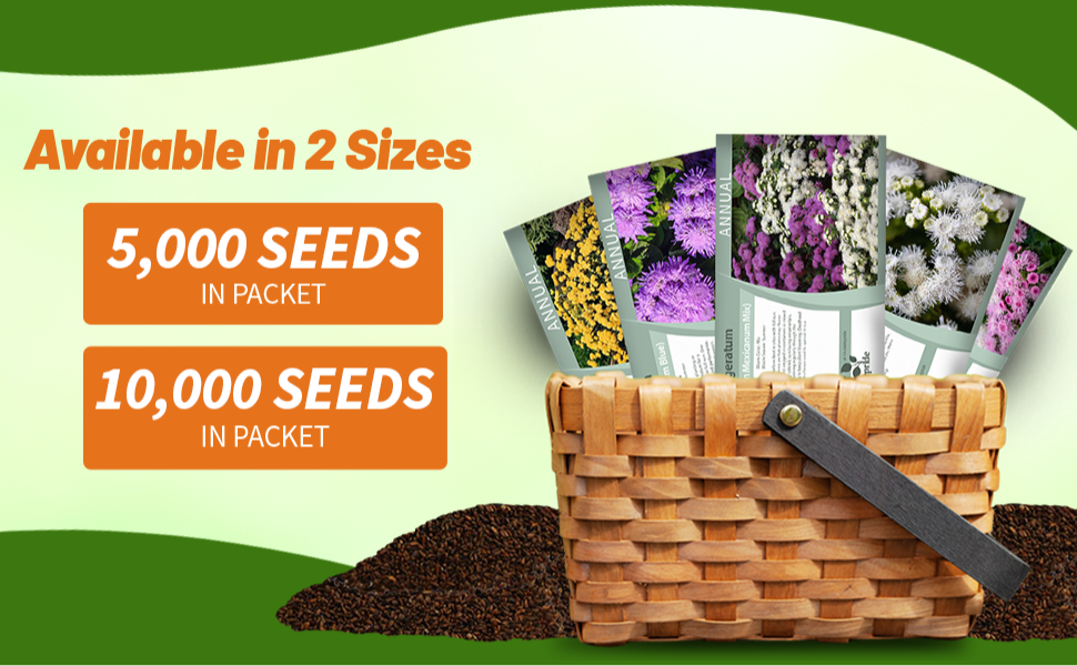 Ageratum Seed Packets For Sale