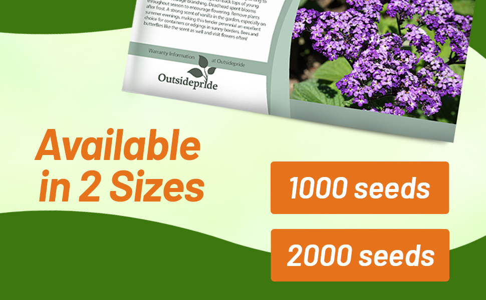 Heliotrop Dward Marine Seed Packet