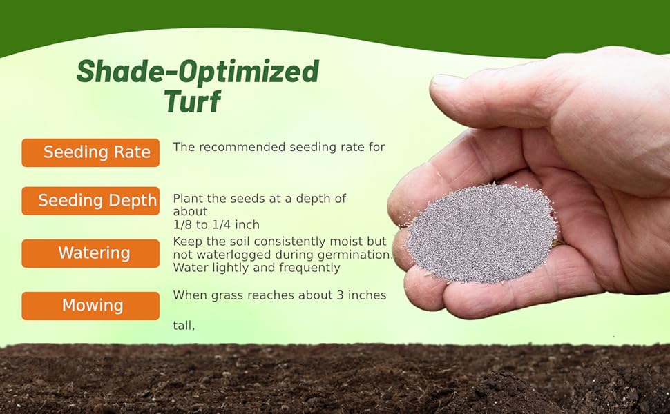 Seashore Paspalum Seeding Rate & Planting Time