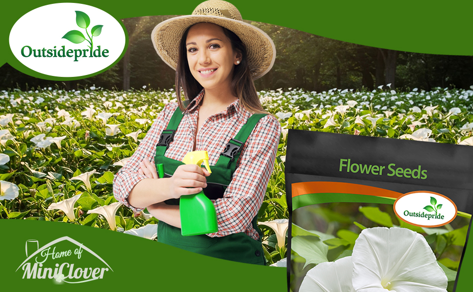 Moonflower Flower Garden