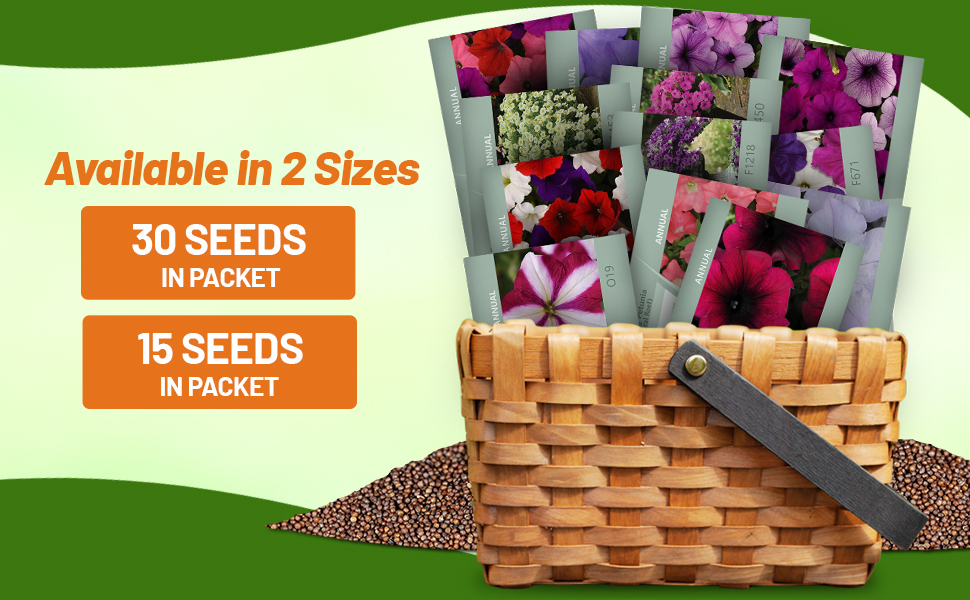 Easy Wave Petunia Flower Seed Packets For Sale