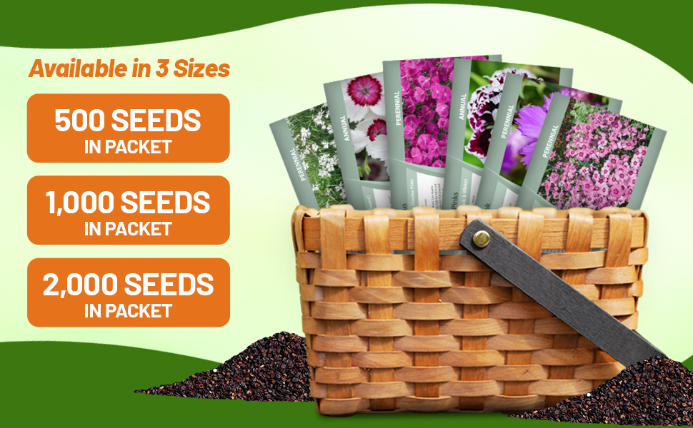 Dianthus Seed Packets For Sale