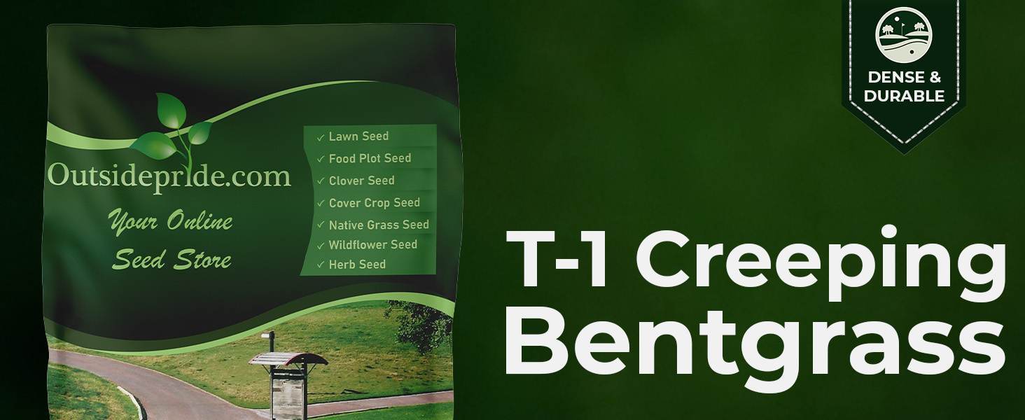 T1 Creeping Bentgrass