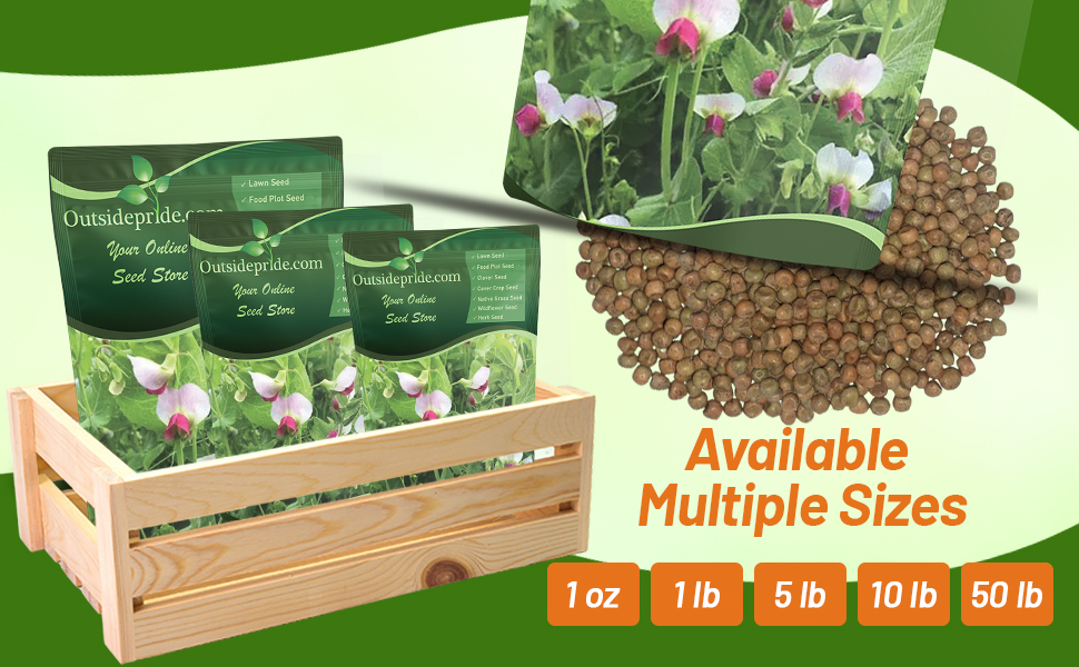 Austrian Winter Peas Bulk Seed Bags For Planting