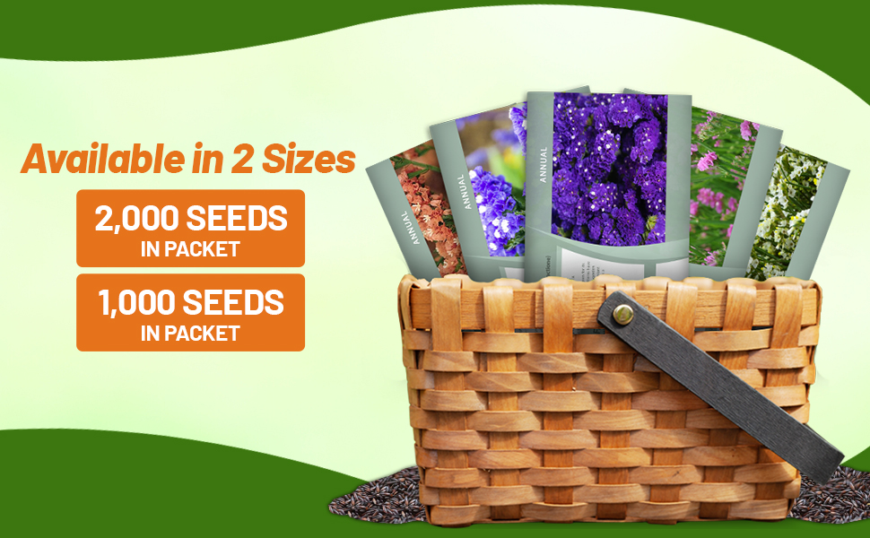 Statice Seed Packets For Sale