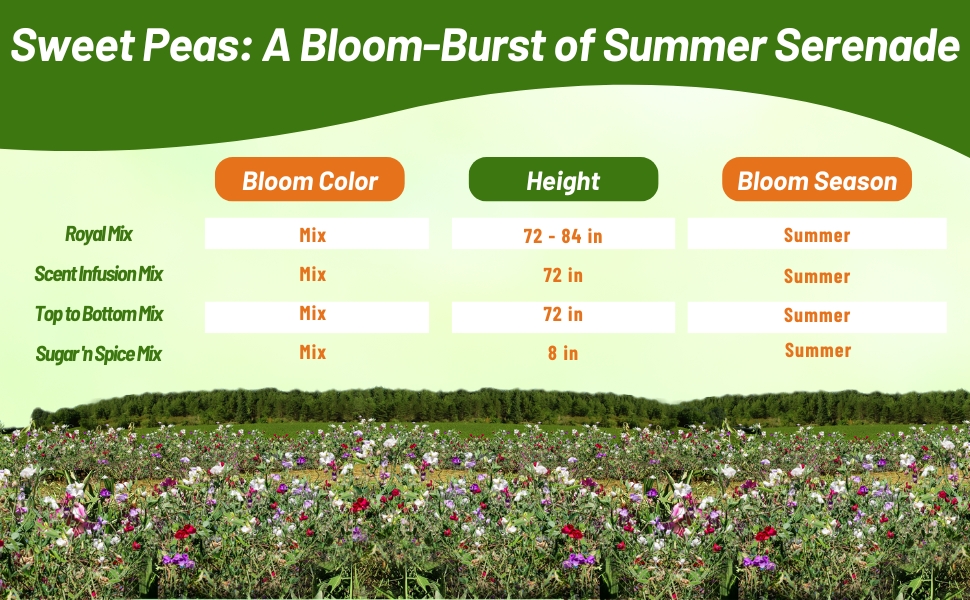 Bloom Season, Color, & Height Chart for Sweet Pea Flower Mixtures