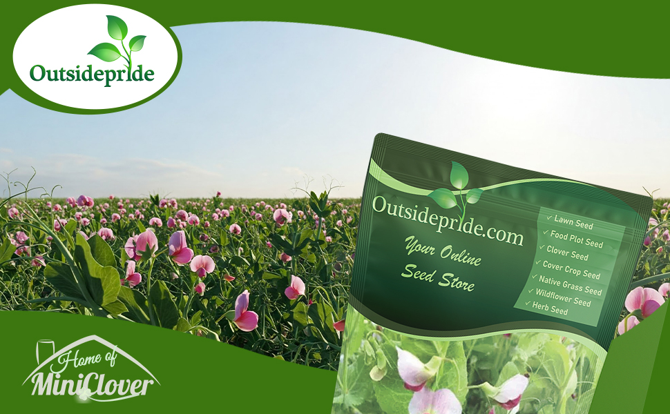 Austrian Winter Peas Cover Crop  