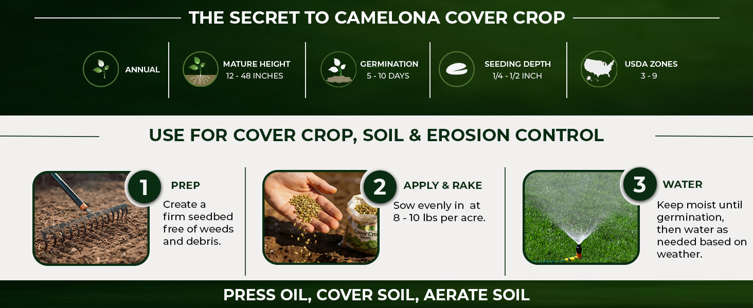 Planting Directions For Camelina