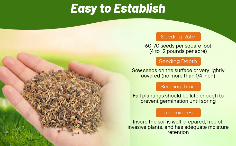 Planting Directions For Blue Flower Seeds