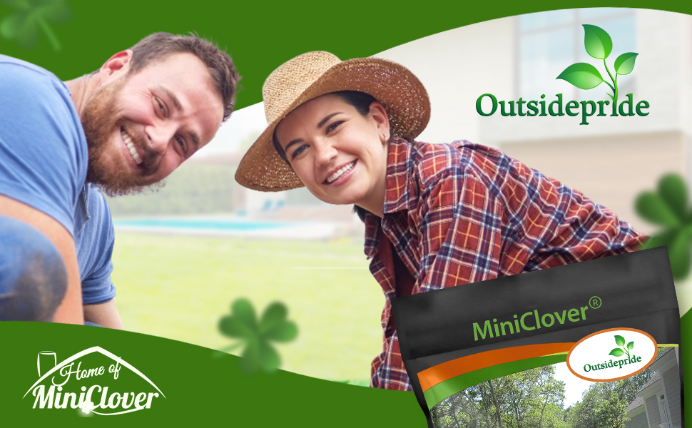 Miniclover Lawn Clover Seed