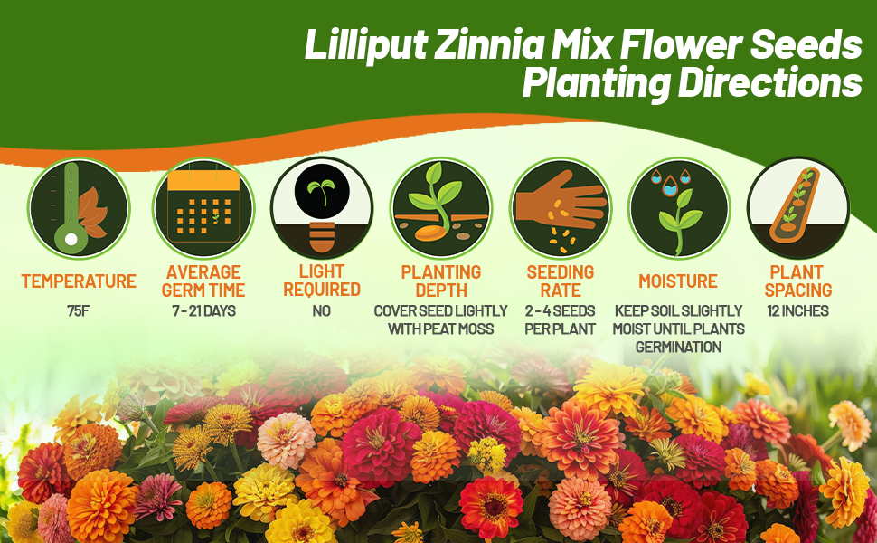 Planting Directions For Zinnia Lilliput Flower Seed Mixture