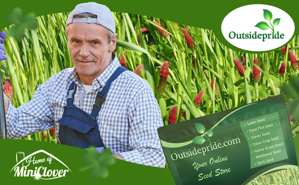 Gardenway Home Garden Cover Crop Seeds
