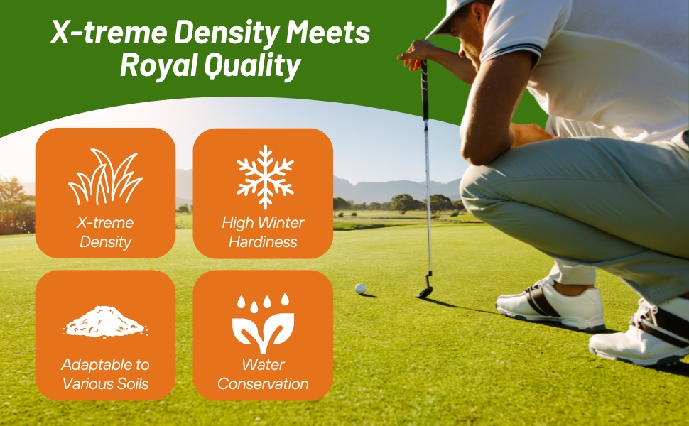 Royal TXD Fast Establishing Bermuda Lawn Grass Seed