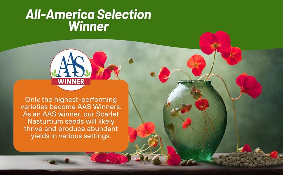 Scarlet Nasturtium seeds, an All-America Selection (AAS) Winner