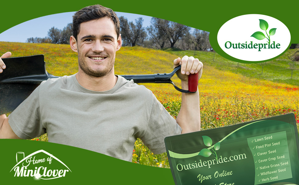 Man Standing In Drought Tolerant Dryland Wildflower Field