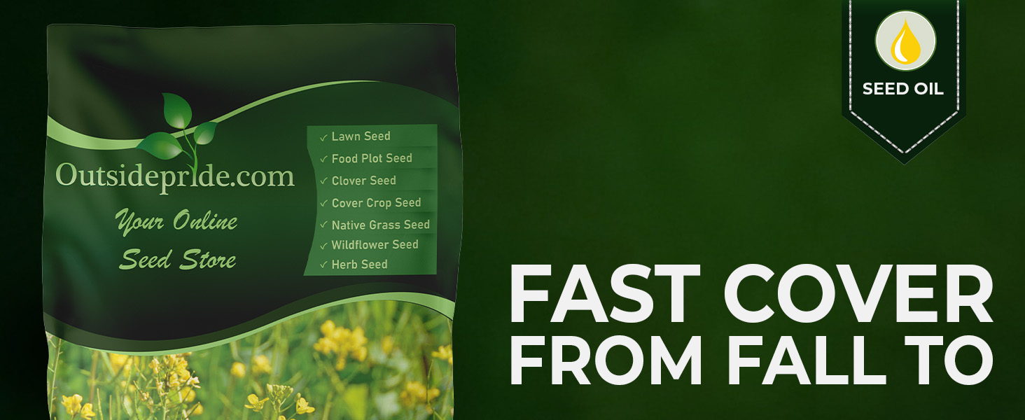 Camelina Cover Crop Seeds
