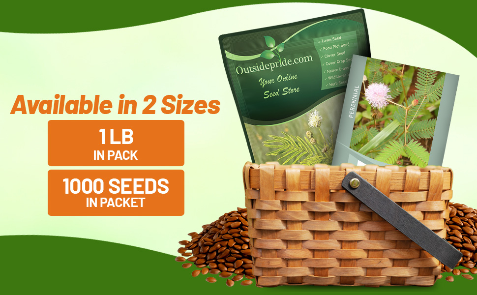 Illinois  Bundleflower Seed Bag For Planting