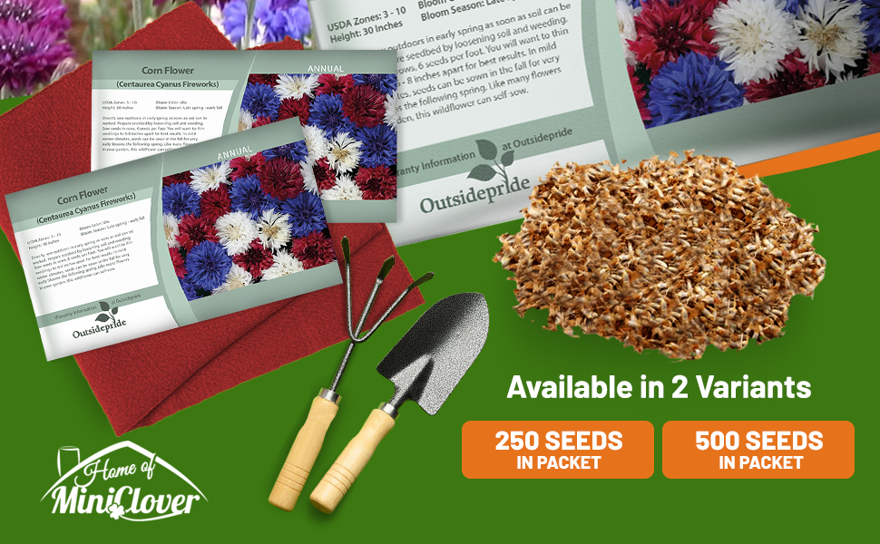 Bachelor Button Cornflower Fireworks Seed Packet For Sale