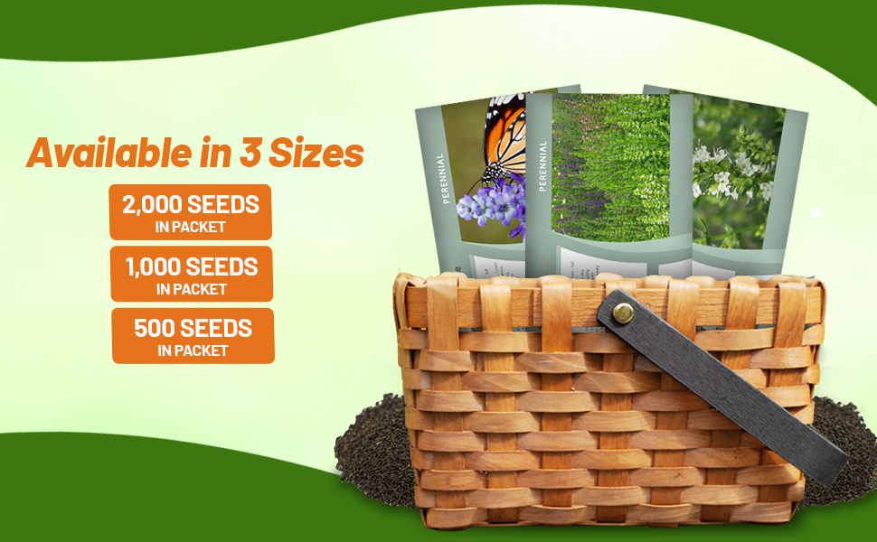Hyssop Herb Seed Packets For Sale