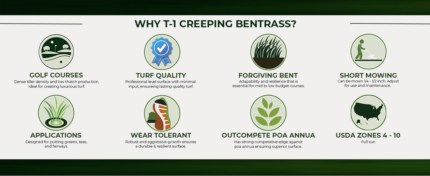 T1 Putting Green Seed