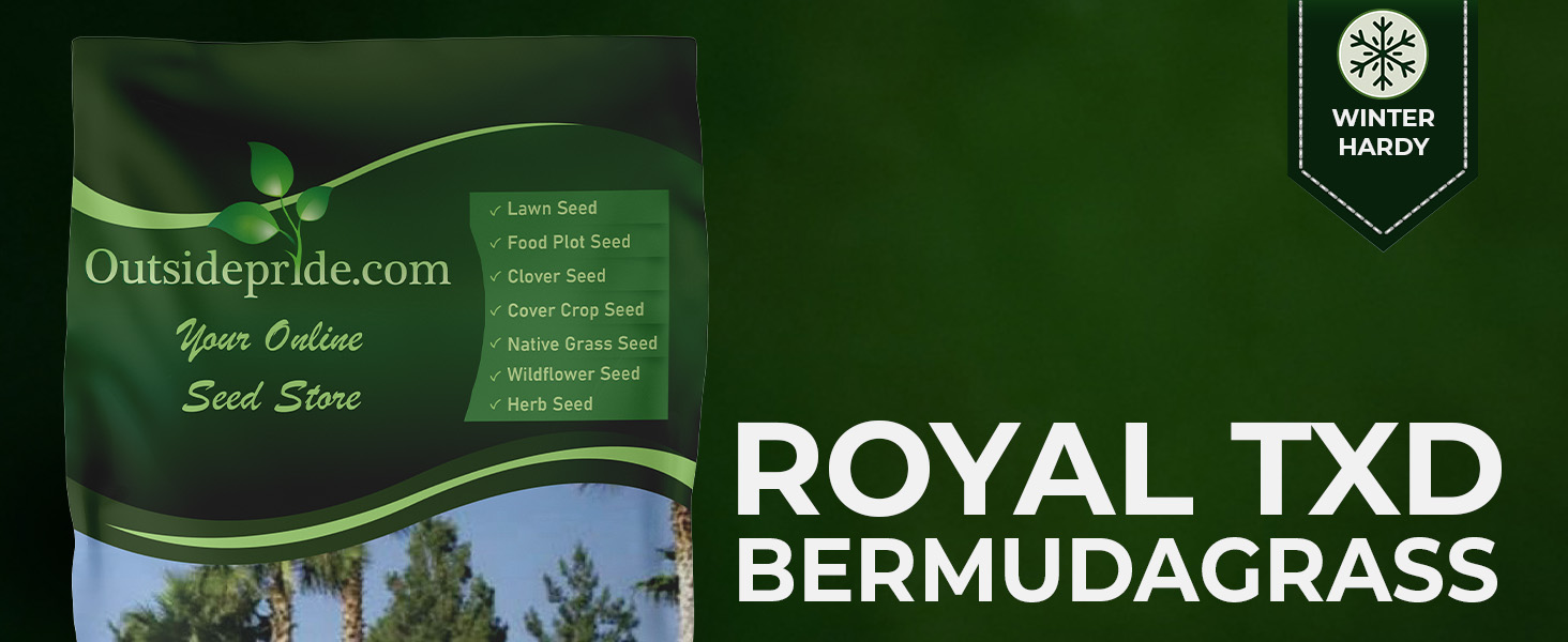 Royal TXD Bermuda