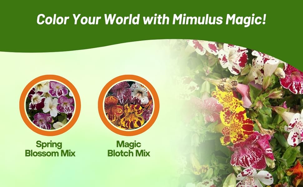 Spring & Blotch Mimulus Flower Seed Mixtures