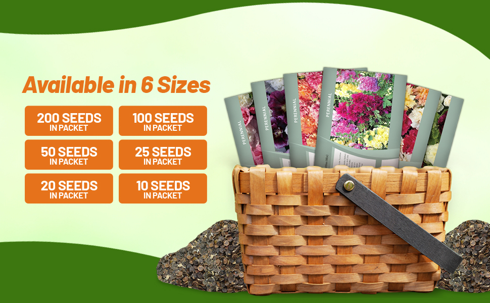 Hollyhock Flower Seed Mixture Packets