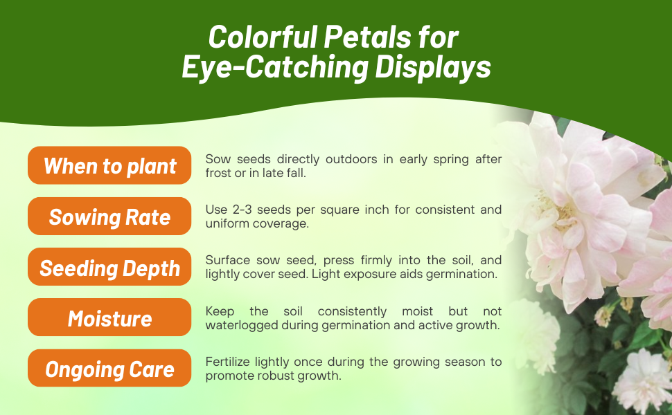 Planting Directions & Care For China Rose Flowers & Seeds