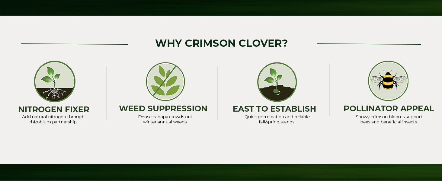 Crimson Clover Attributes