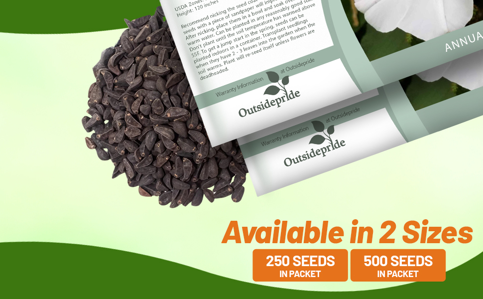 Morning Glory Pearl Gates Seed Packet For Sale
