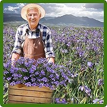 Blue-eyed Grass Lanscaping